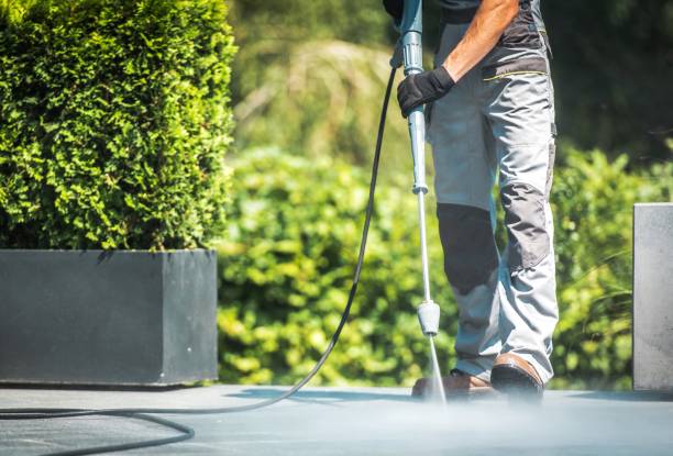 Animal Enclosure Cleaning in Macdonnell Heights, NY